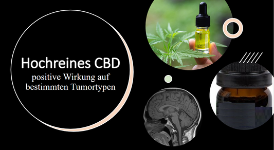 Hochreines CBD
