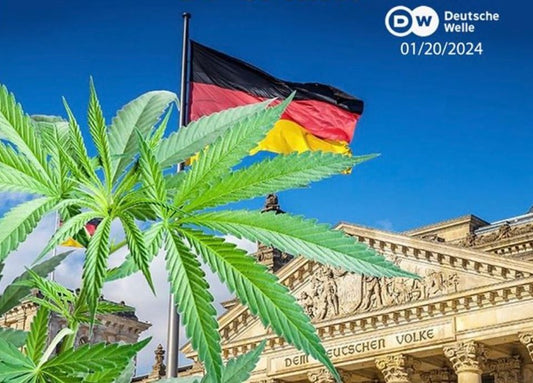 Hanfprodukte – Was ist legal?
