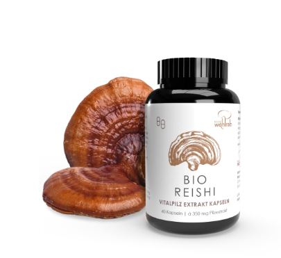 Reishi BIO Extraktkapseln