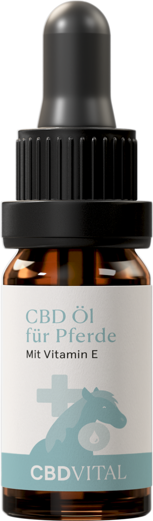 CBD Öl für Pferde 30%