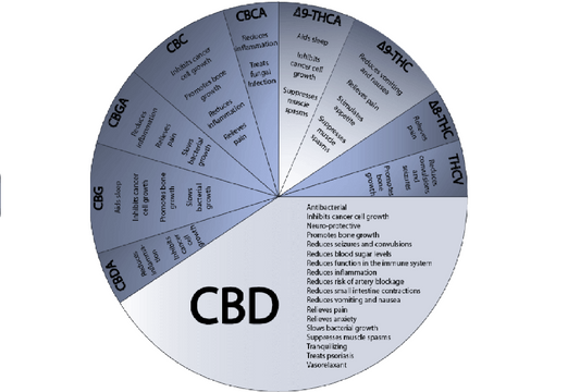 CANNABINOIDE UND IHRE VERWENDUNG