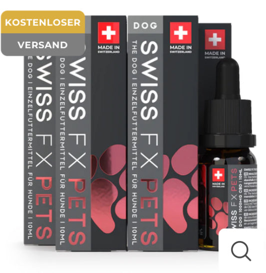 4x CBD Öl Hund Lachs (10% CBD)