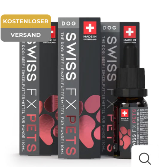 4x CBD Öl Hund Rind (10% CBD)