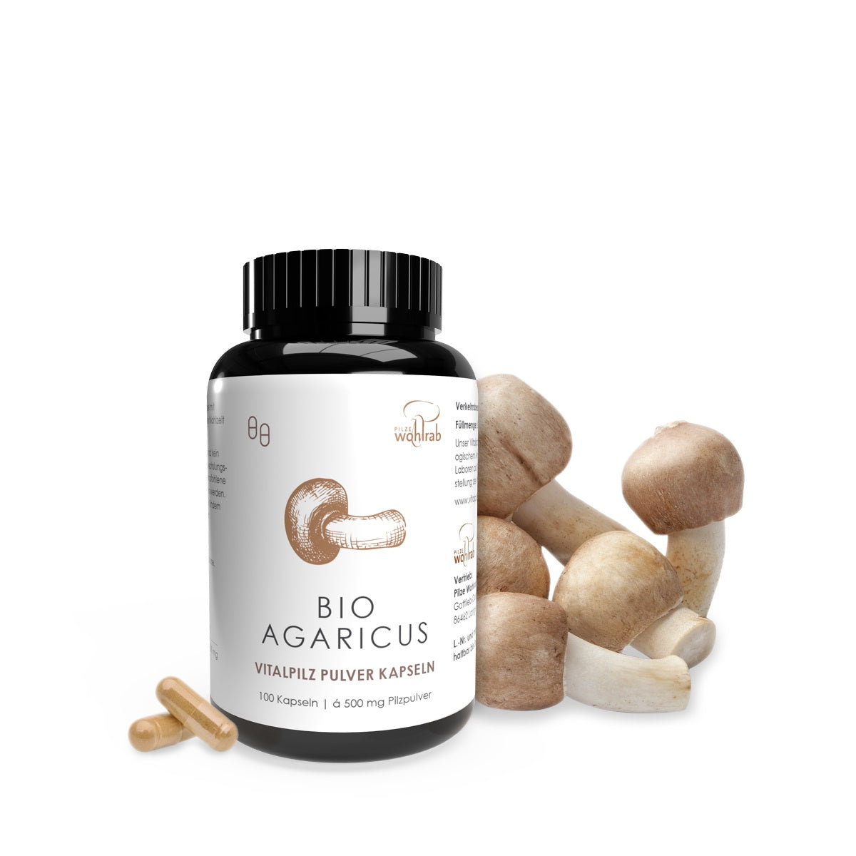 Agaricus blazei - ABM - Mandelpilz